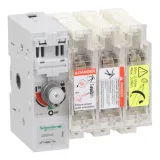 Schneider Electric GS2FG3, рубильник с предохранителем TeSys GS, 50 А, 3P, 14x51
