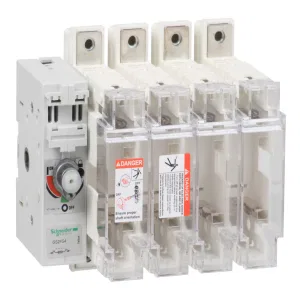 Schneider Electric GS2FG4 — рубильник с предохранителем TeSys GS, 4 полюса, 50 А, 14x52 (ШНАЙДЕР) Schneider Electric GS2FG4 — рубильник с предохранителем TeSys GS, 4 полюса, 50 А, 14x52 (ШНАЙДЕР)